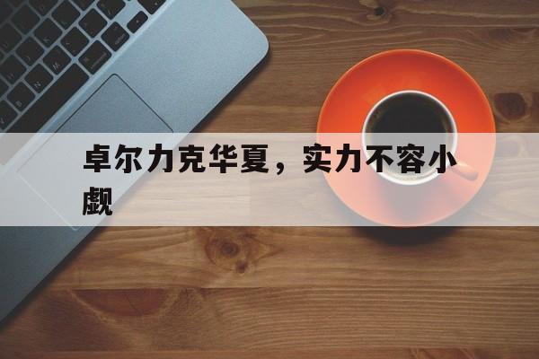 爱游戏网页版入口-包含卓尔力克华夏,实力不容小觑的词条