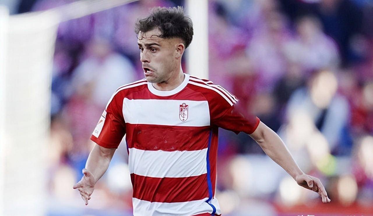 爱游戏竞技-格拉纳达主场胜出，取得宝贵三分的简单介绍